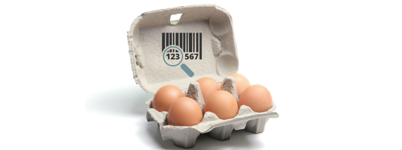 comercializacion huevos